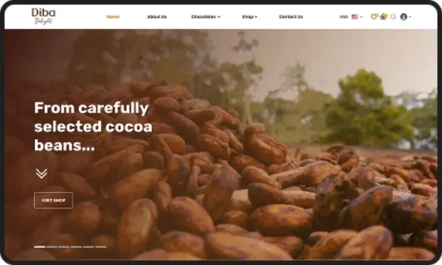 Diba Foods Website