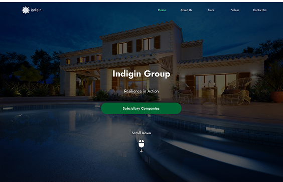 Indigin Website Banner