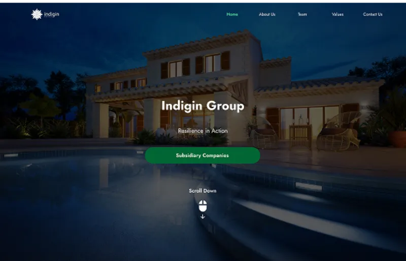 Indigin Website Banner