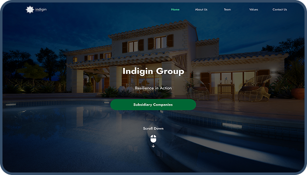 Indigin Group Website